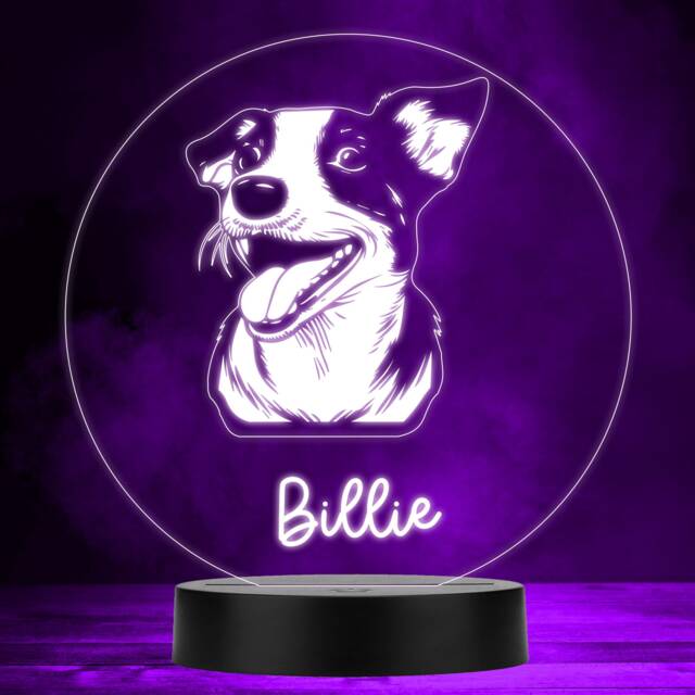 Jack Russell Terrier Dog Pet Multicolour Personalised Gift Led Lamp Night Light - Bedroom - image 1