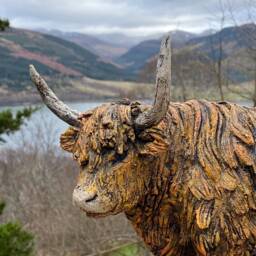 Highland Cow Sculpture in Ceramic By Paul Szeiler - thumbnail 2