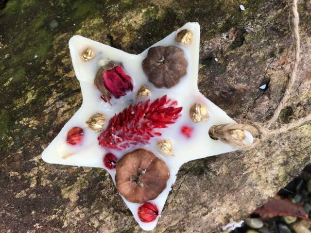 Set Of Two Large Festive Wax Melts Dried Flowers, 100% Vegan, Decor, Christmas Decorations, Soy Wax, Tablet, Putka Pods, Star