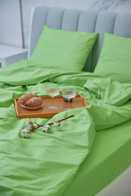 Light Green Cotton Flat Sheet 300Tc, All Sizes - image 1