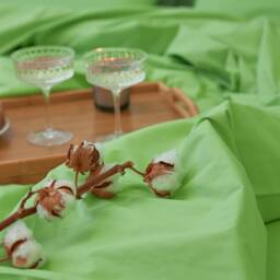 Light Green Cotton Flat Sheet 300Tc, All Sizes - thumbnail 4