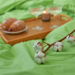 Light Green Cotton Flat Sheet 300Tc, All Sizes - thumbnail 2