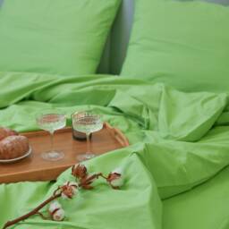 Light Green Cotton Flat Sheet 300Tc, All Sizes - thumbnail 3