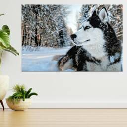Husky Dog in Snow 3D View Wall Sticker Poster Decal A76 - thumbnail 2