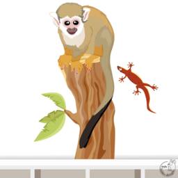 "Wall Sticker ""Skull Monkey" - thumbnail 1