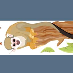 "Wall Sticker ""Skull Monkey" - thumbnail 2