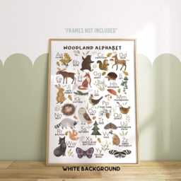 Woodland Alphabet Print -- Abc Poster, Animals Nursery, Theme Bedroom, Nursery Decor - Unframed - thumbnail 3