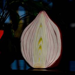 Huge Fake Onion Shelf Decor Quirky Vegan One Of A Kind Gift - thumbnail 4