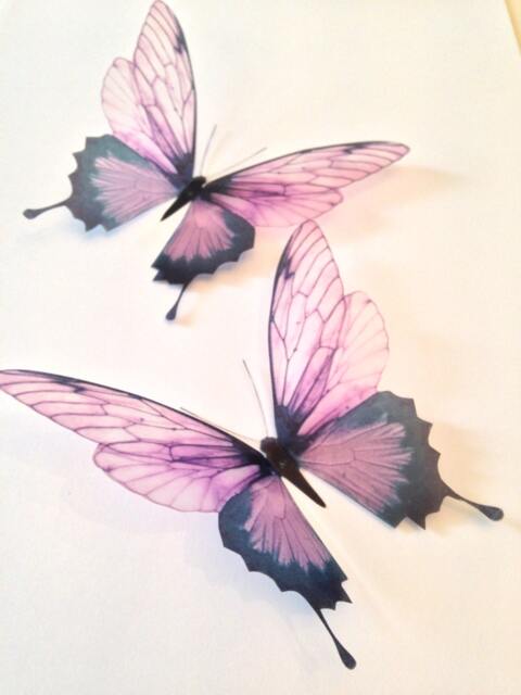 Pink Champagne 3D Butterfly Wall Decals Wedding Table Decor - 4.5 - image 1