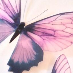 Pink Champagne 3D Butterfly Wall Decals Wedding Table Decor - 4.5 - thumbnail 4