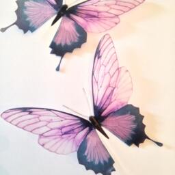 Pink Champagne 3D Butterfly Wall Decals Wedding Table Decor - 4.5 - thumbnail 3