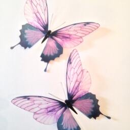 Pink Champagne 3D Butterfly Wall Decals Wedding Table Decor - 4.5 - thumbnail 2