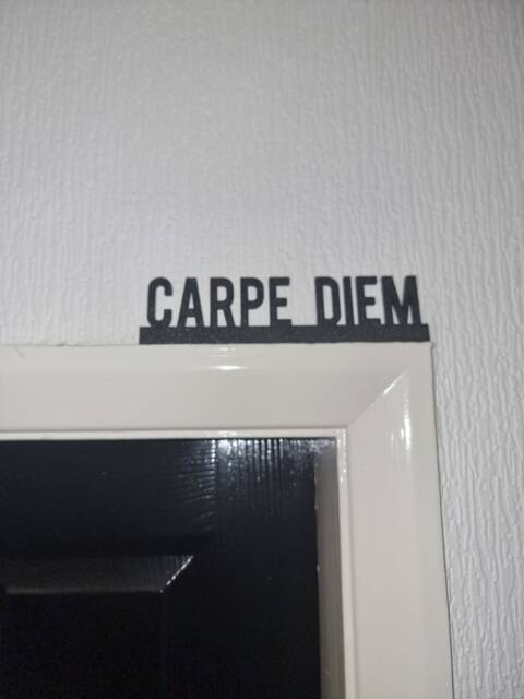 Carpe Diem Door Topper, Shelf Decor, Wall Quirky Home Interior Gift, Door Decoration - image 1
