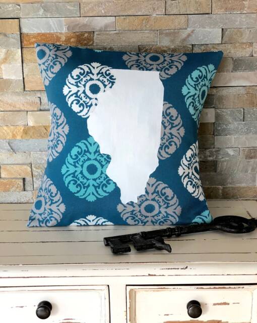 Illinois State Pillow/Illinois Decor - image 1