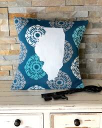 Illinois State Pillow/Illinois Decor - thumbnail 1
