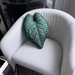 Anthurium Luxurians Leaf Pillow, Tropical Plant Cushion - thumbnail 1