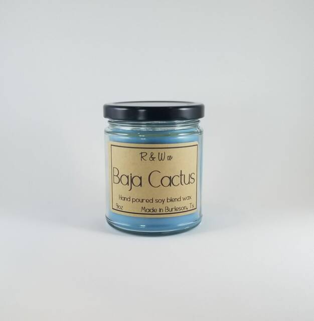 Baja Cactus Candle - image 1