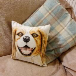 Spaniel Cushion - Dogs Cushions Gifts For The Home Home Gifts Dog Her Him Cushions - thumbnail 2