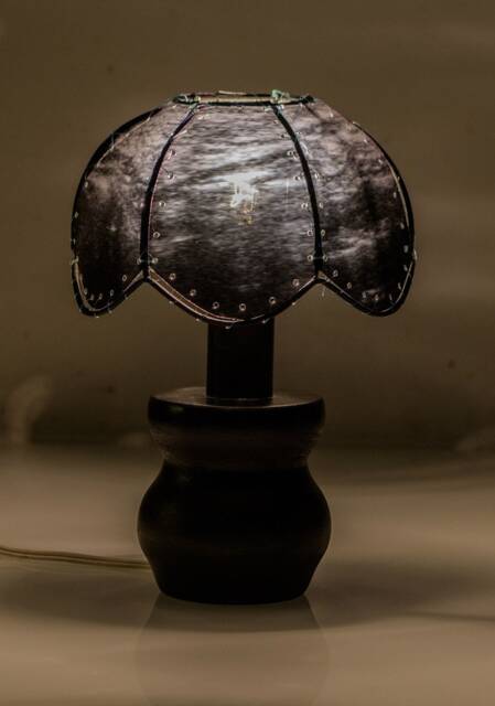Table Lamp Ultrasound Radiography X-Ray, Doctor Radiographer Original Gift, Dome Lampshade For Dark Home, Medical Office Anatomy Gift - image 1