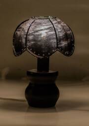 Table Lamp Ultrasound Radiography X-Ray, Doctor Radiographer Original Gift, Dome Lampshade For Dark Home, Medical Office Anatomy Gift