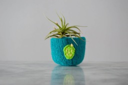 Felted Wool Bowl - Teal Ring Dish, Cactus Embroidered Air Plant Planter