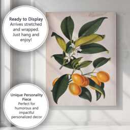 Vintage Kumquat Botanical Citrus Branch Illustration Canvas Wall Art Print Decor Picture Ready To Hang - thumbnail 3