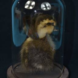 Handmade Taxidermy 3 Headed Yellow With Brown Duckling Mounted in Glass Dome Oddity Home Deco, Christmas Gift Housewarming Collectable - thumbnail 4
