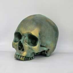 Bronze Patina Human Skull Replica . Realistic Plaster Of Paris Life Size Human Replica - thumbnail 2