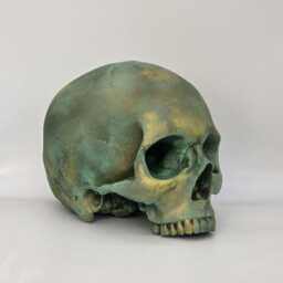 Bronze Patina Human Skull Replica . Realistic Plaster Of Paris Life Size Human Replica - thumbnail 3