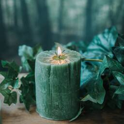 Green Log Candle - Tree Log Form Cedar Wood Scent Party Favors - thumbnail 2