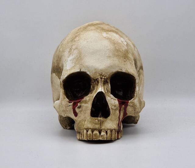 Tears Of Death. Plaster Paris Life Size Human Skull Replica - image 1
