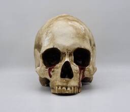 Tears Of Death. Plaster Paris Life Size Human Skull Replica - thumbnail 1