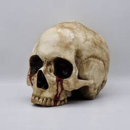 Tears Of Death. Plaster Paris Life Size Human Skull Replica - thumbnail 2