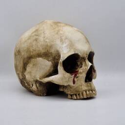 Tears Of Death. Plaster Paris Life Size Human Skull Replica - thumbnail 3
