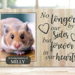 Guinea Pig Memorial, Pet Memorial Gift, Frame, Plaque, Photo Remembrance - thumbnail 3