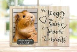 Guinea Pig Memorial, Pet Memorial Gift, Frame, Plaque, Photo Remembrance