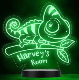 Kids Cute Baby Lizard Personalised Gift Colour Changing Led Lamp Night Light - thumbnail 1