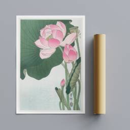 Blooming Lotus Flowers - Vintage Japanese Art Print, By Ohara Koson - thumbnail 3