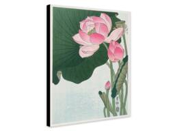 Blooming Lotus Flowers - Vintage Japanese Art Print, By Ohara Koson - thumbnail 1