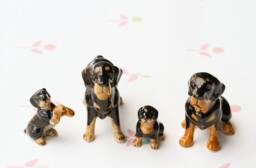 Set Of 4 Ceramic Rottweiler Dog Figurines - Handmade Glazed Animal Ornaments For Pet Lovers - thumbnail 1