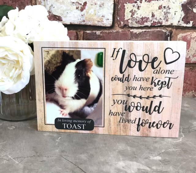 Guinea Pig Memorial Gift, Pet Memorial, Gift, Frame, Plaque, Photo Remembrance - image 1