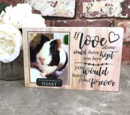 Guinea Pig Memorial Gift, Pet Memorial, Gift, Frame, Plaque, Photo Remembrance