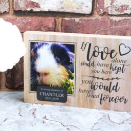 Guinea Pig Memorial Gift, Pet Memorial, Gift, Frame, Plaque, Photo Remembrance - thumbnail 3