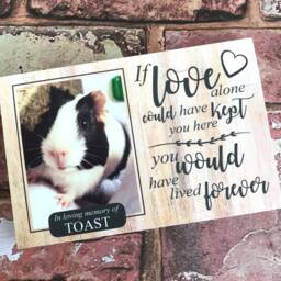 Guinea Pig Memorial Gift, Pet Memorial, Gift, Frame, Plaque, Photo Remembrance - thumbnail 2