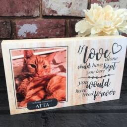 Guinea Pig Memorial Gift, Pet Memorial, Gift, Frame, Plaque, Photo Remembrance - thumbnail 4
