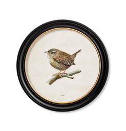 Little Wren Bird Circle Print // Black & Gold Round Frame Small Large Options - thumbnail 1