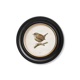 Little Wren Bird Circle Print // Black & Gold Round Frame Small Large Options - thumbnail 2