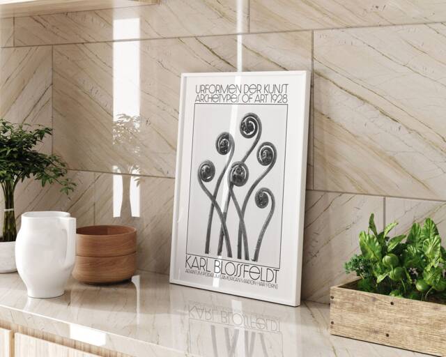 Karl Blossfeldt Urformen Der Kunst 1928 Adiantum Pedatum American Maiden Hair Fern Wall Art Print Botanical Photography Nature Home Decor - image 1