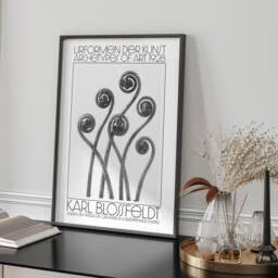 Karl Blossfeldt Urformen Der Kunst 1928 Adiantum Pedatum American Maiden Hair Fern Wall Art Print Botanical Photography Nature Home Decor - thumbnail 2