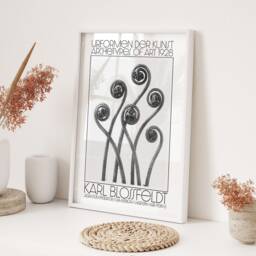 Karl Blossfeldt Urformen Der Kunst 1928 Adiantum Pedatum American Maiden Hair Fern Wall Art Print Botanical Photography Nature Home Decor - thumbnail 3